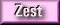 Another Zest-A-Logo unqiue site design.